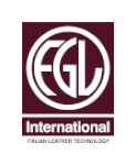 Logo FGL Internationl